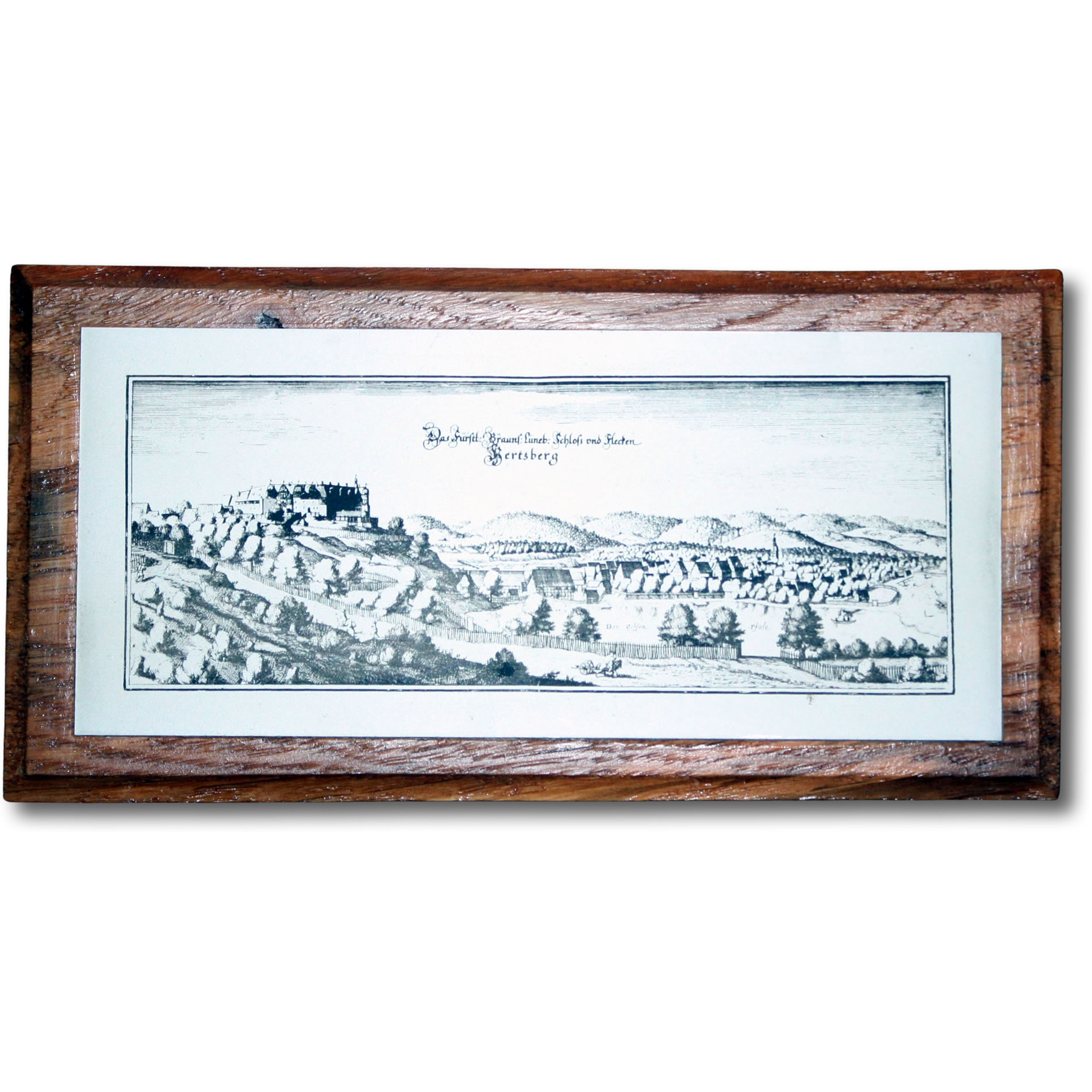 Merianzeichnung auf Holz
