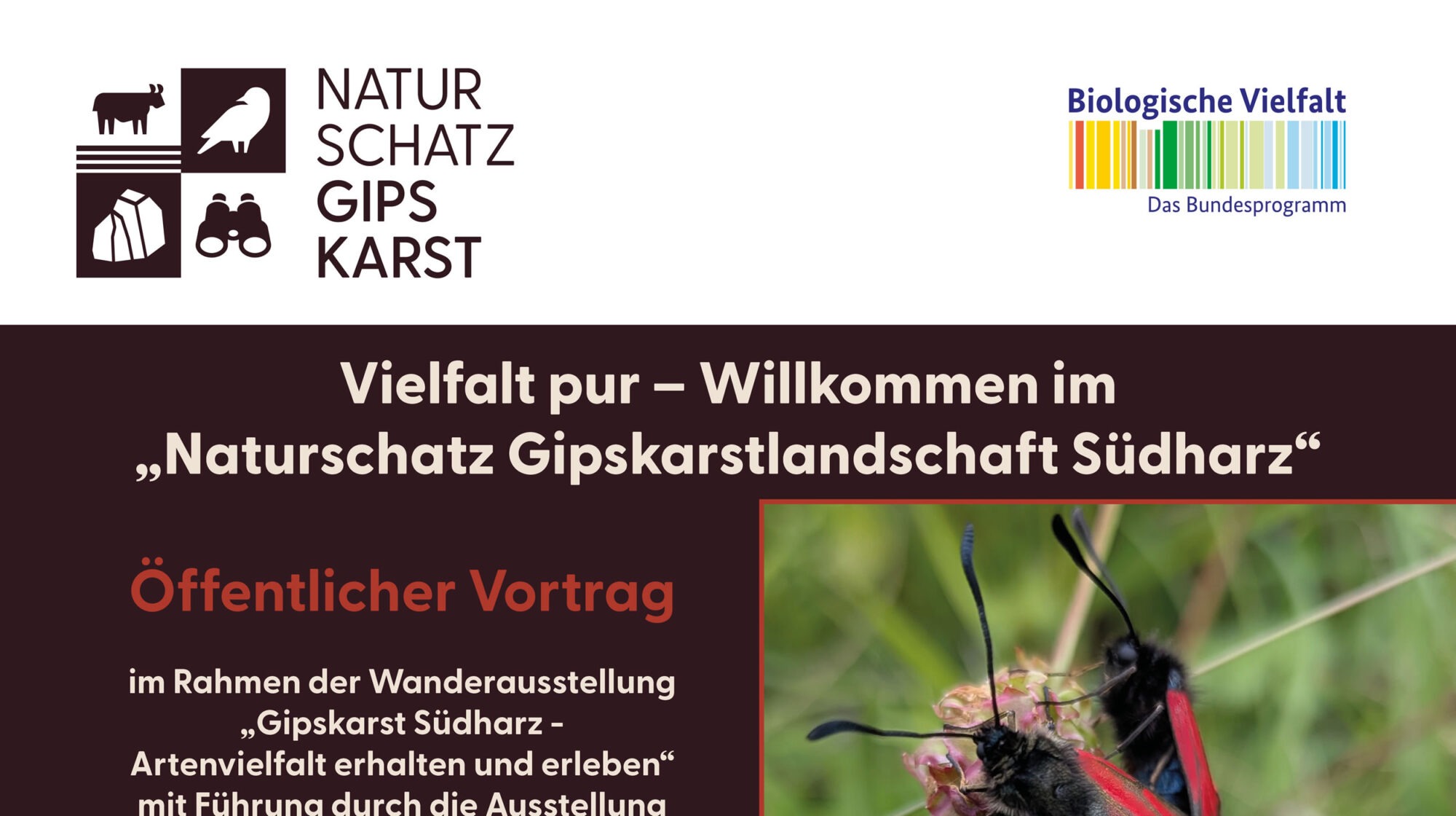 Naturschatz Gipskarst – Vortrag und Ausstellung im Schloss Herzberg