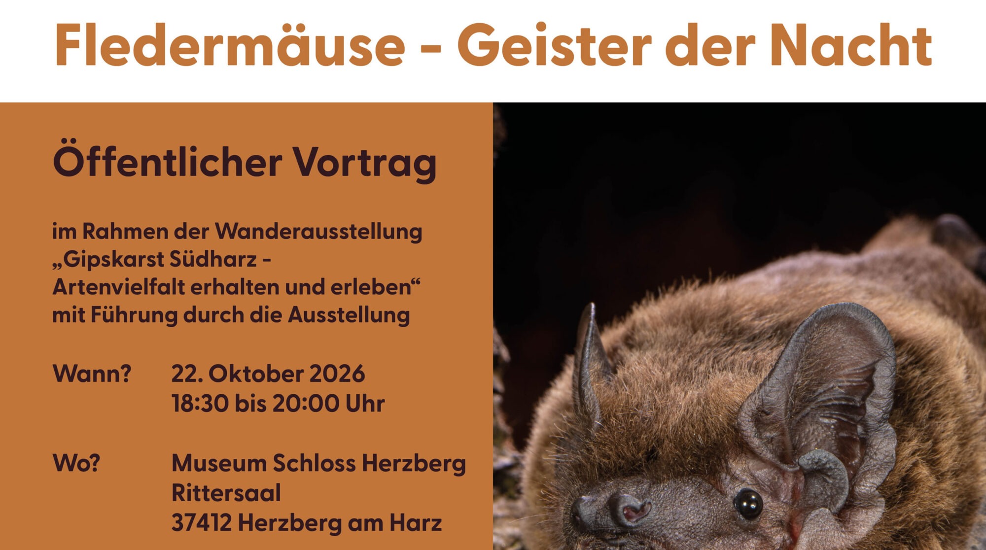 Fledermäuse – Geister der Nacht | Vortrag auf Schloss Herzberg